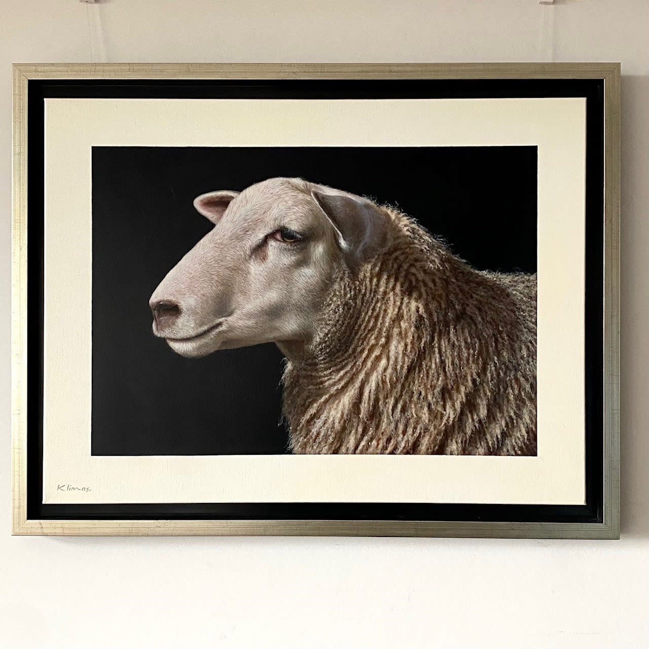 Alexandra Klimas, Lotte I the Sheep