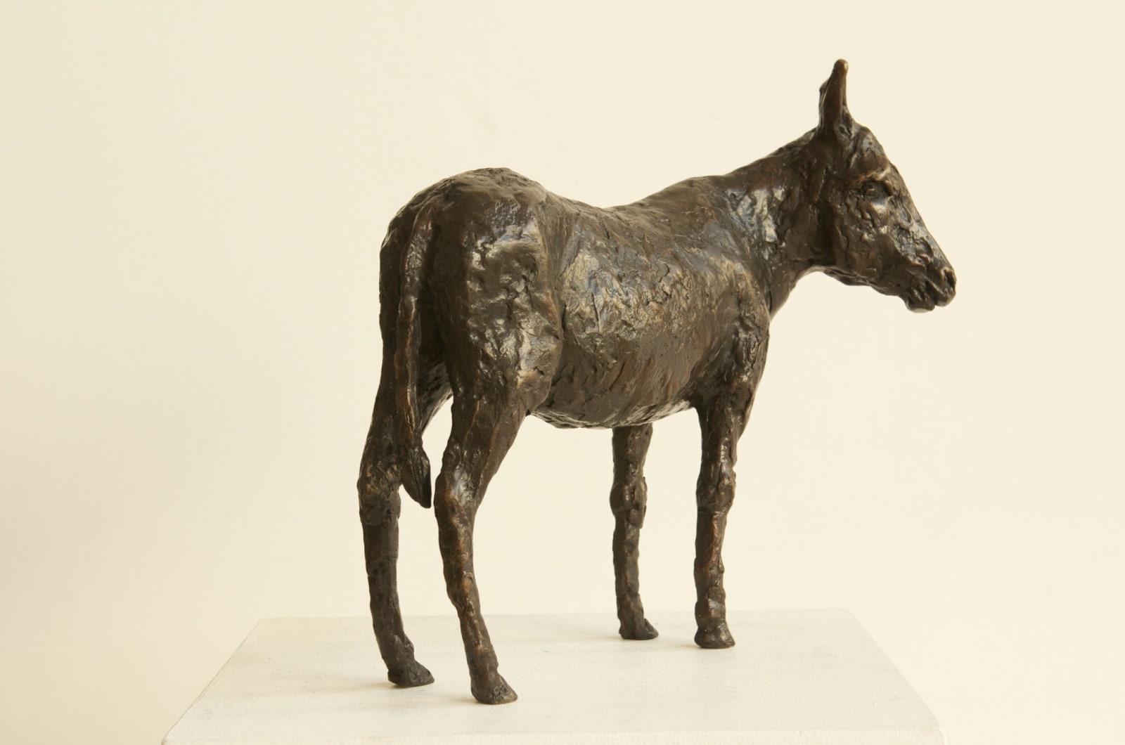 Caroline D'Andlau Hombourg, Donkey 1/8