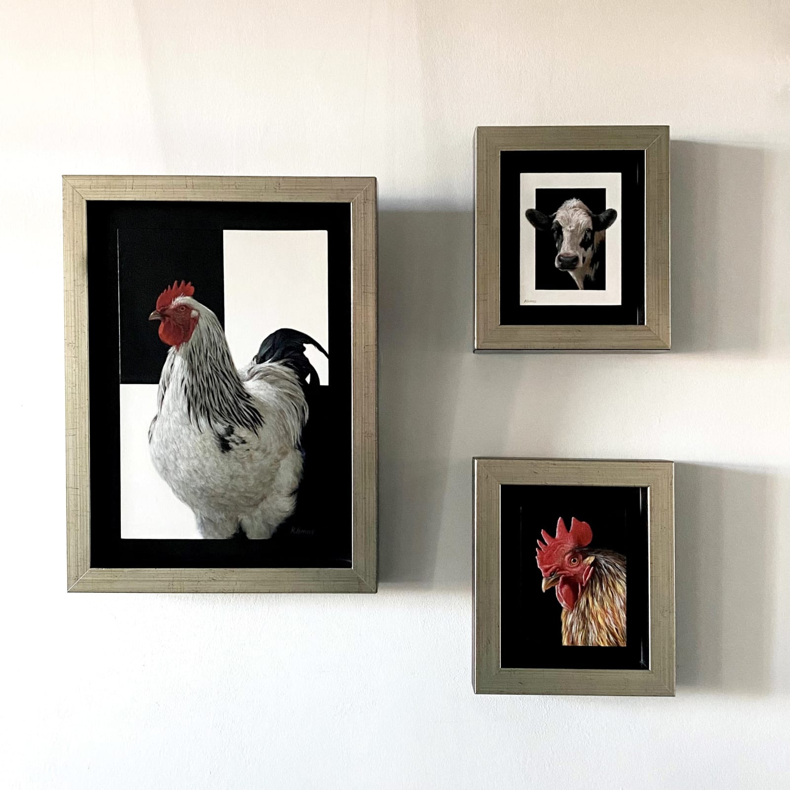 Alexandra Klimas, Charlie the Rooster I
