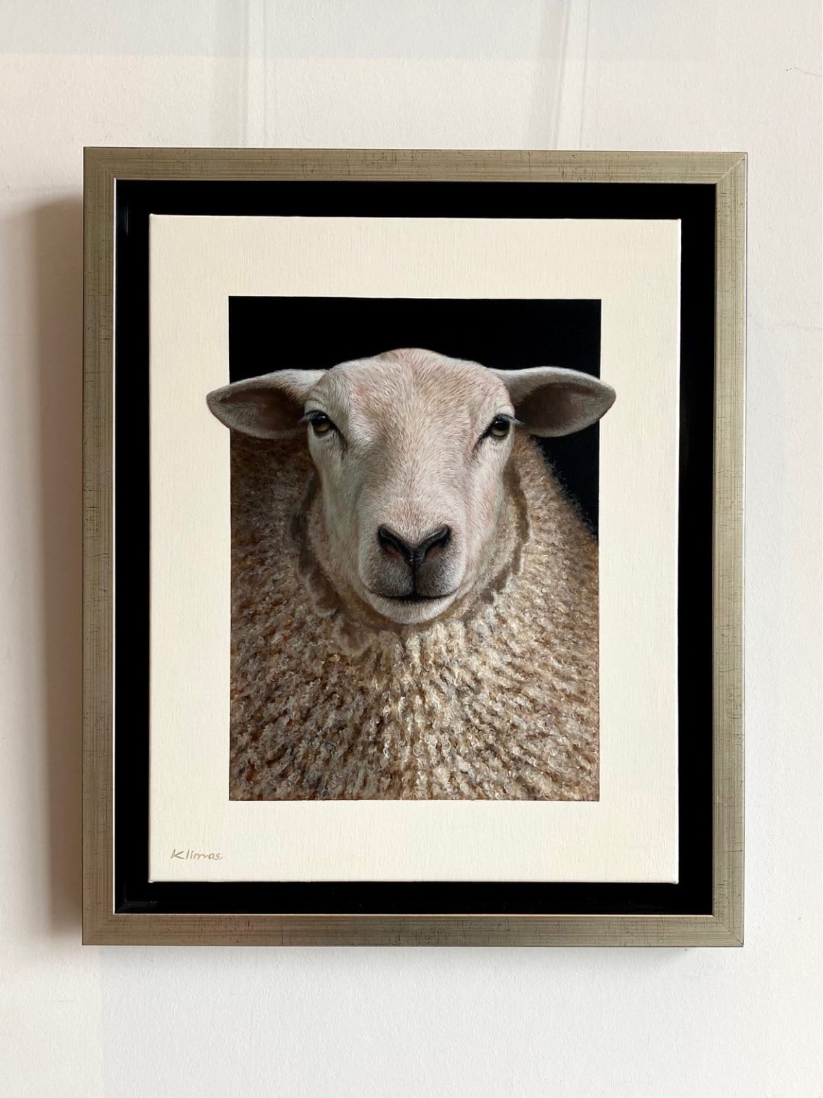 Alexandra Klimas, Lana the Sheep