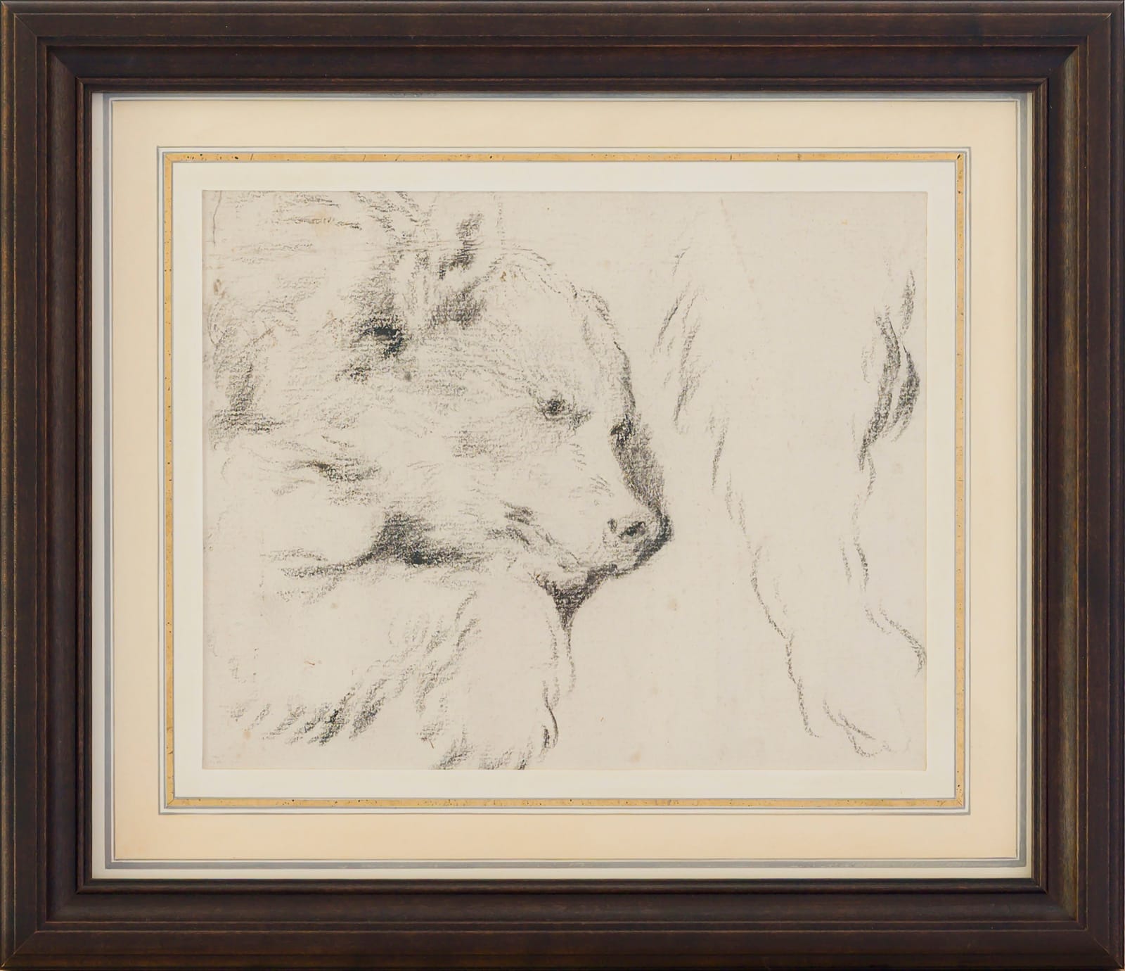 Attributed to Jean‑Baptiste OUDRY (Paris 1686 – Beauvais 1755), Studies of a Bear Cub – reclining head and right fore‑paw, c. 1730