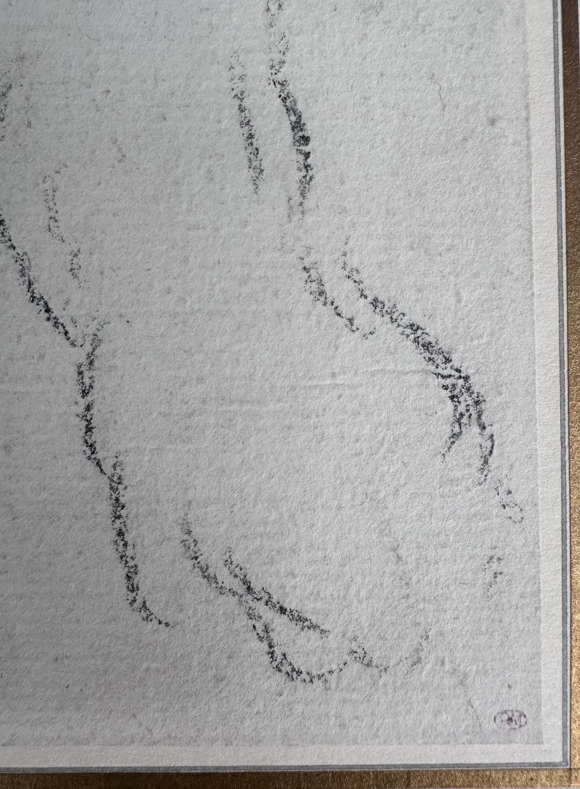 Attributed to Jean‑Baptiste OUDRY (Paris 1686 – Beauvais 1755), Studies of a Bear Cub – reclining head and right fore‑paw, c. 1730