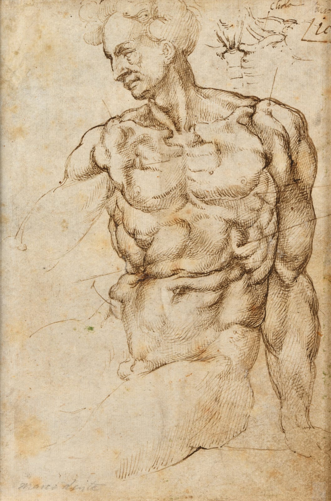 Workshop of Michelangelo, possibly Piero d'ARGENTA (Active 1497 - 1530), Studies of Michelangelo’s Galli statue, from the front and behind back, and partial views (recto) Study after a lost drawing by Michelangelo for the Ignudo above the Eritrean Sibyl in the Sistine Chapel (verso), circa 1510-1520
