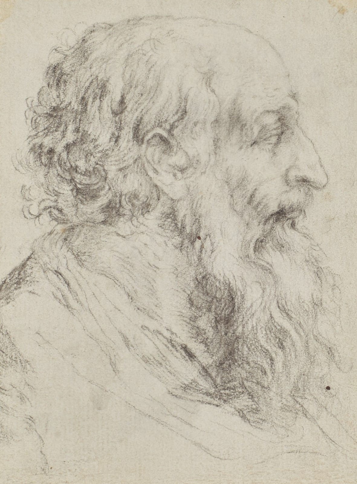 Italian school, 17th century, Two Heads of a Bearded Man, after Agostino Carracci