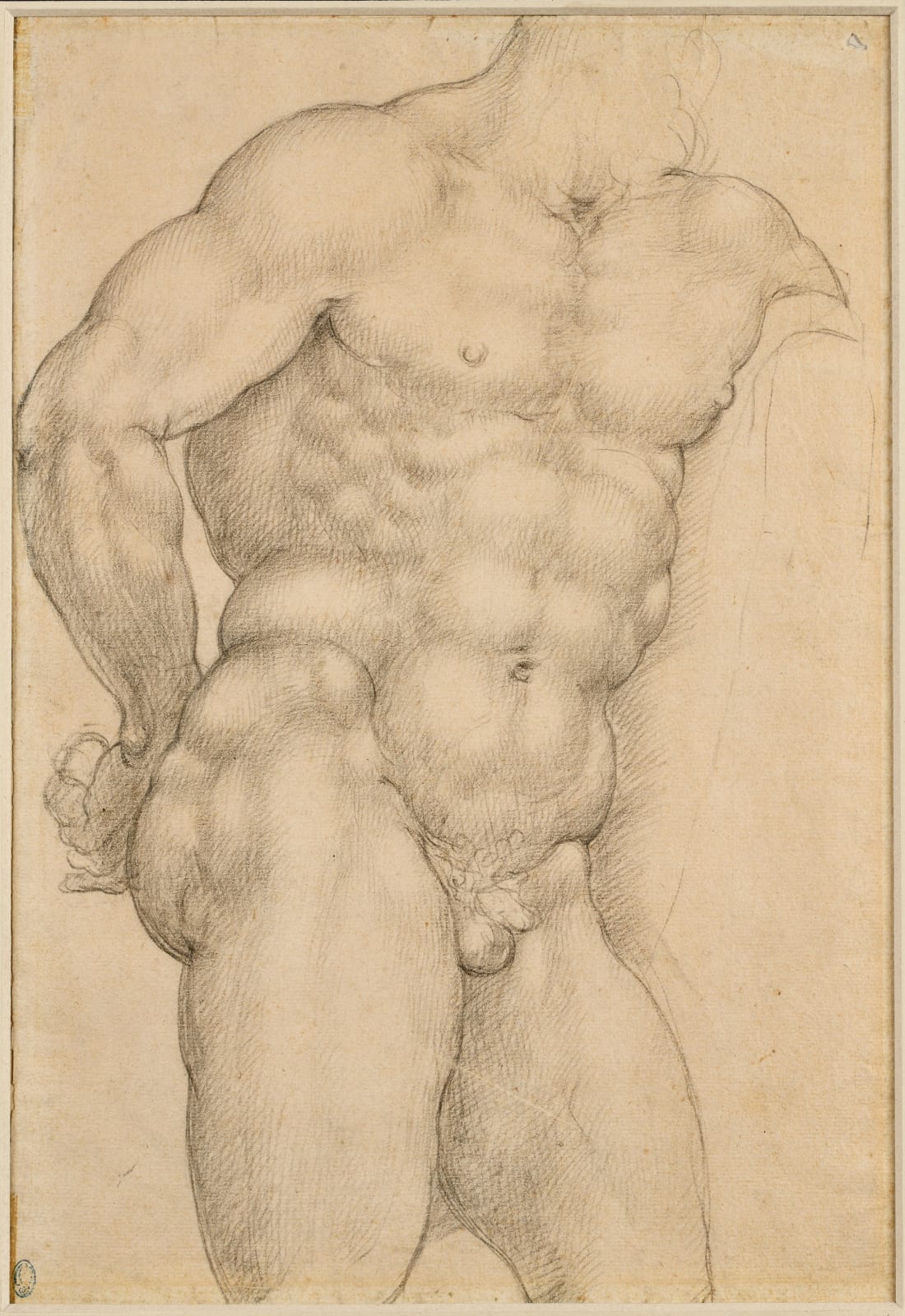 Attributed to Giovanni Ambrogio FIGINO (Milan 1553 - 1608), Study after Farnese Hercules, 1570's