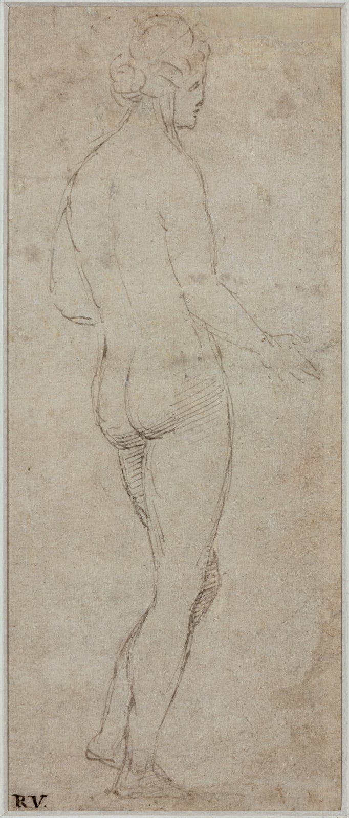 Timoteo VITI (Urbino 1469 - 1523), Study of a female nude, seen from behind, facing right, Circa 1511