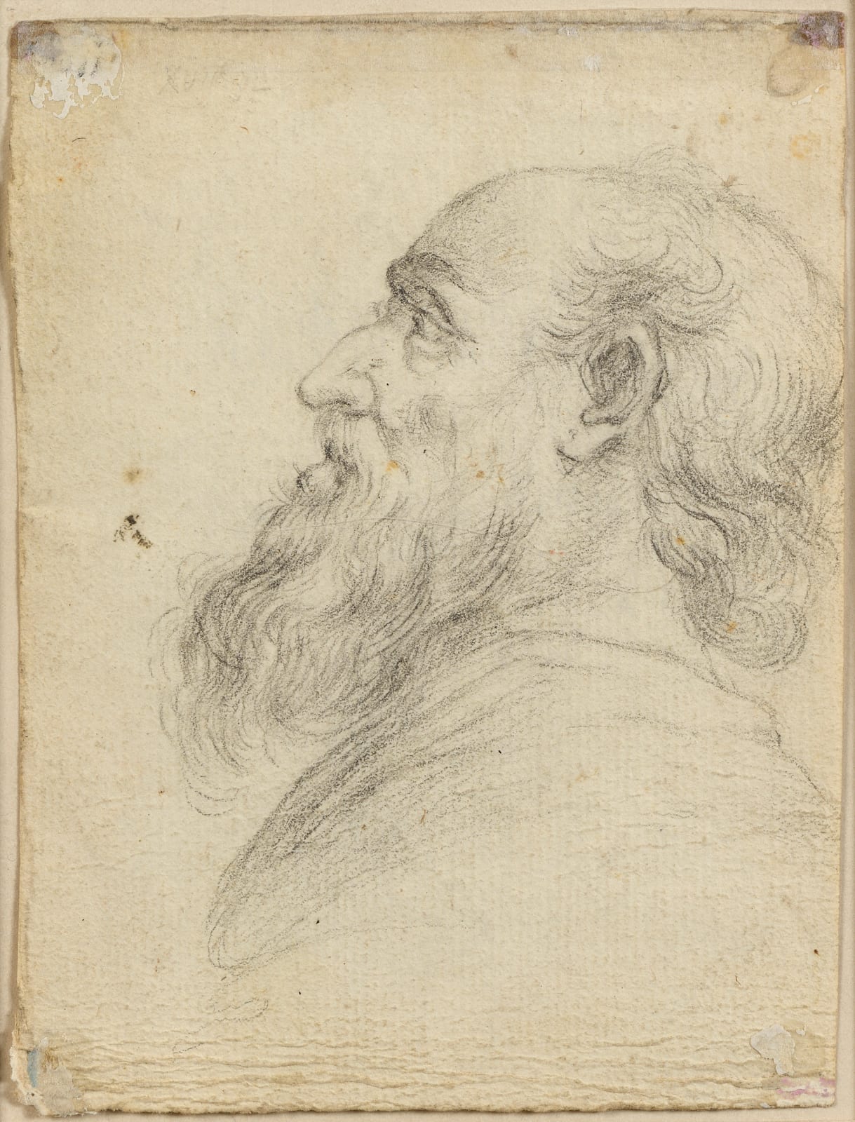 Italian school, 17th century, Two Heads of a Bearded Man, after Agostino Carracci