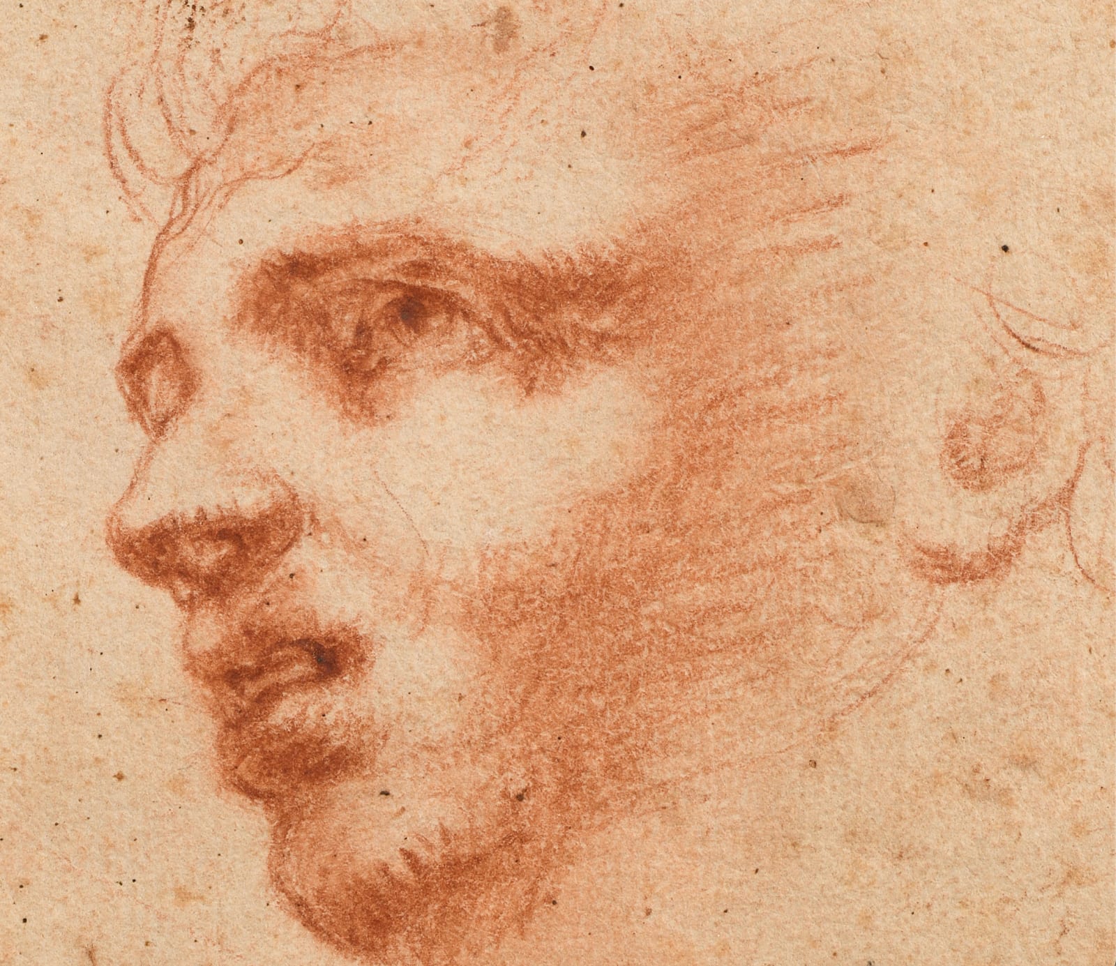Italian School, late 16th century, Head of a Man and Écorché Studies of Arms