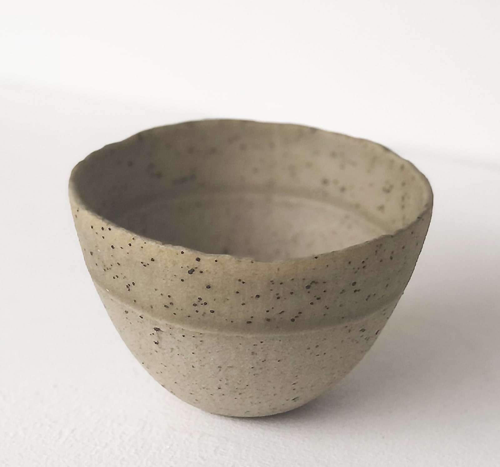 Charlotte Jones, Lizard Lines, 2019