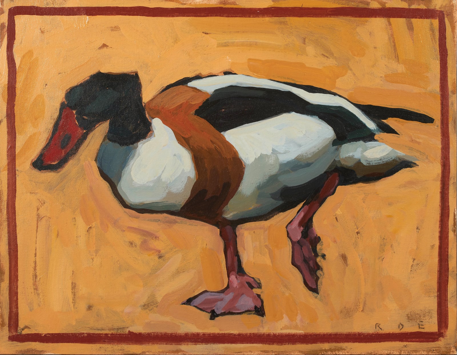 Romy Elliott, Shelduck