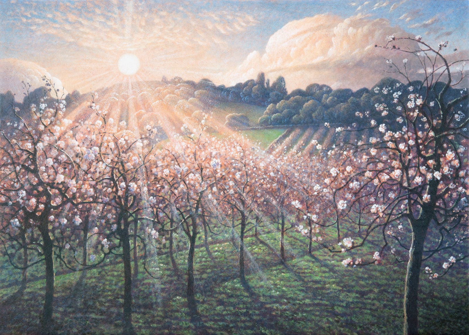 James Lynch, The Orchard, Underwood, 2023