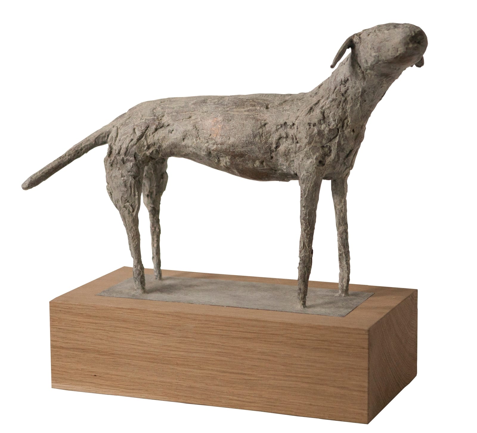 Christopher Marvell, Sea dog