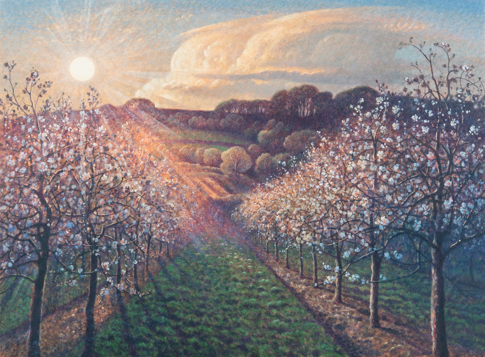 James Lynch, Footpath Through the Orchard, Underwood, 2024