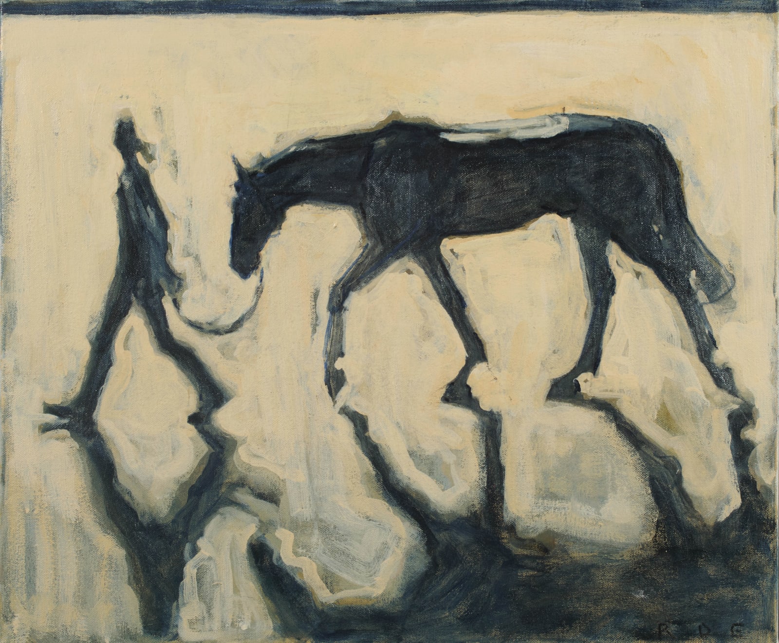 Romy Elliott, Shadow silhouette