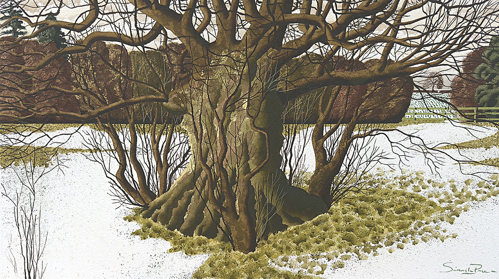 Simon Palmer, Spring Snow