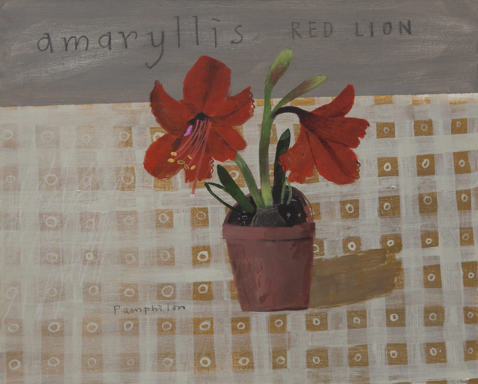 Elaine Pamphilon, Amaryllis Red Lion