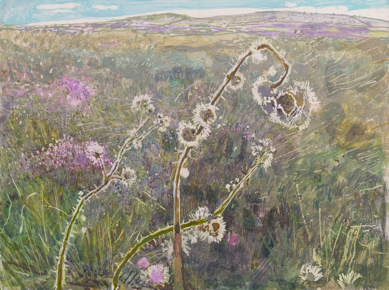 Ruth Stage, 17. Upland Landscape, 2024