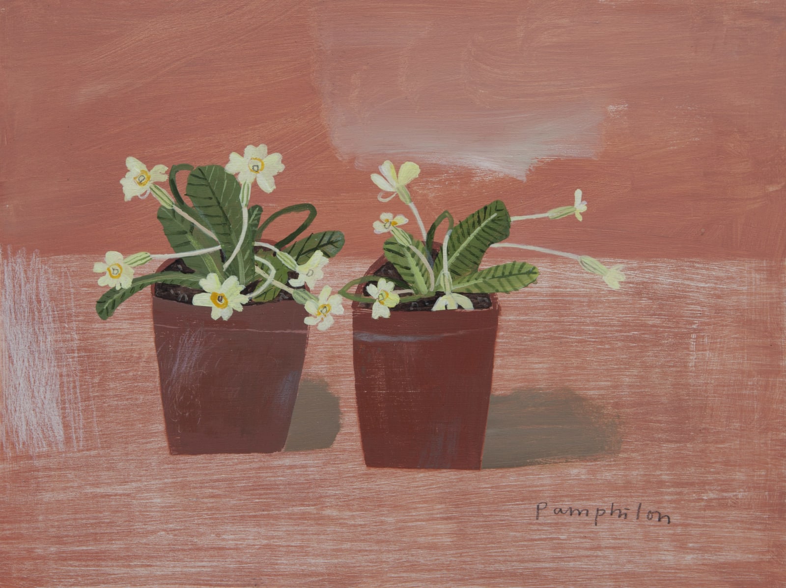 Elaine Pamphilon, Primroses from the Wild Goose Nursery