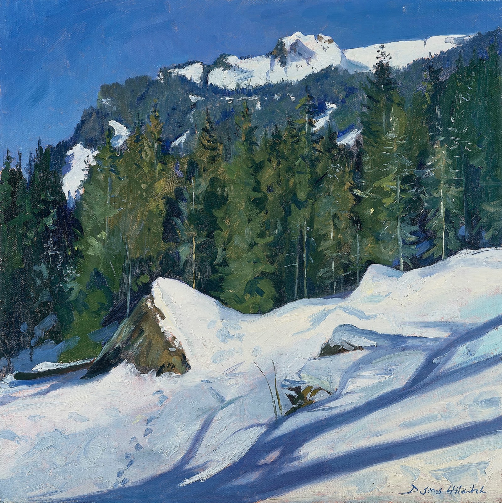 Daisy Sims Hilditch, Deep Blue Skies, Mountain Forest