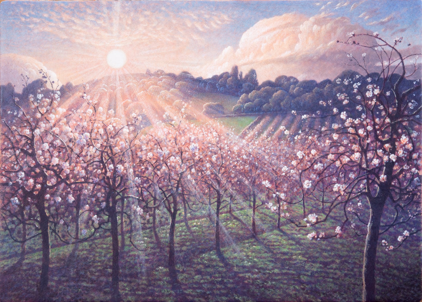 James Lynch, The Orchard, Under Wood, 2023