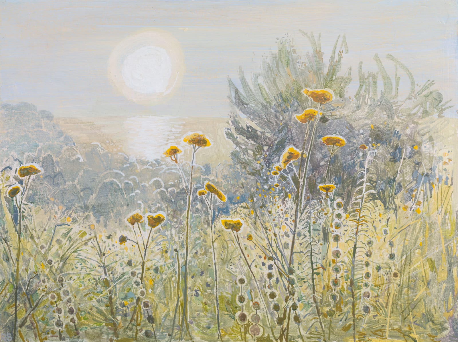 Ruth Stage, Mediterranean Garden, 2024
