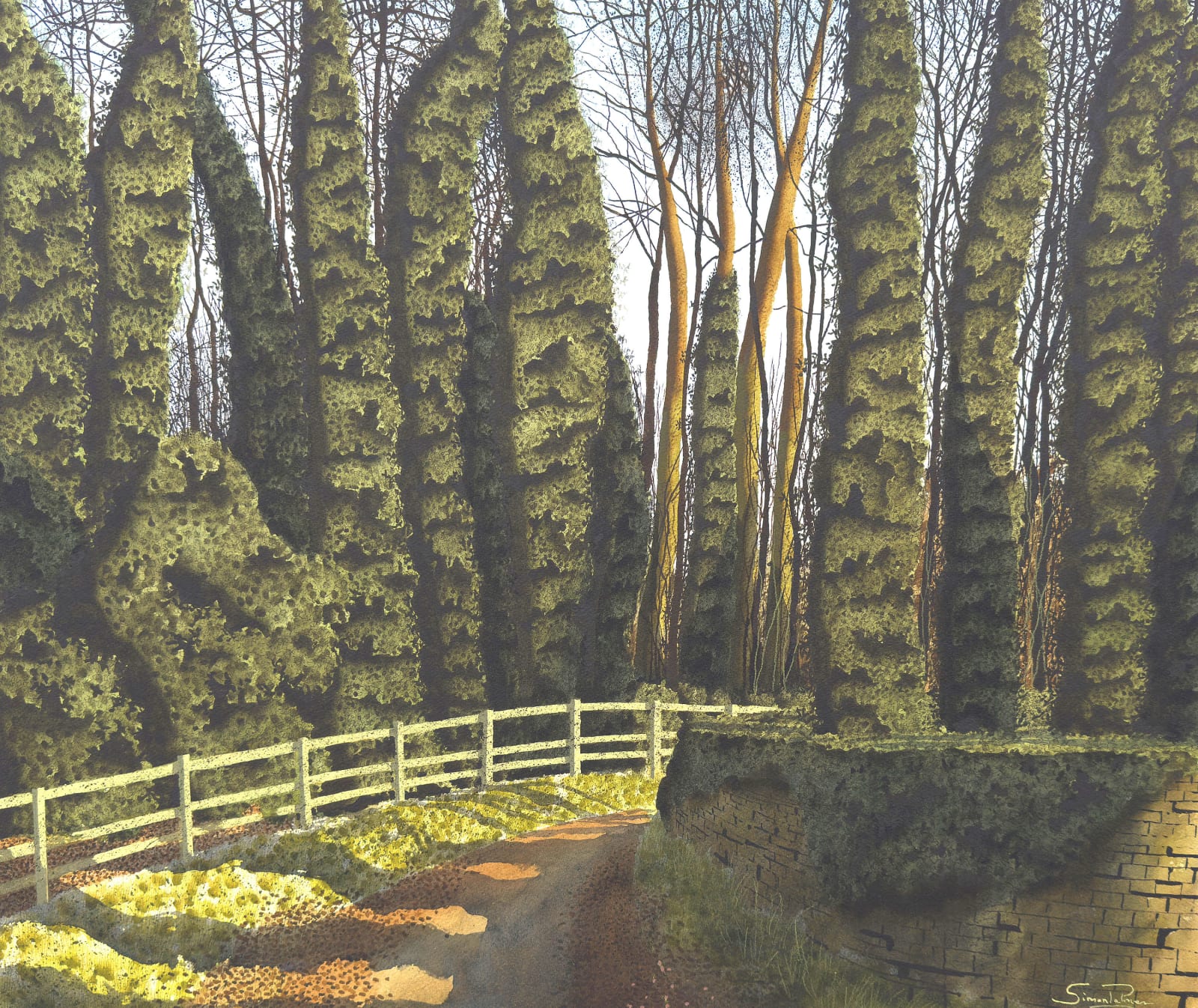 Simon Palmer, Gebdykes Wood