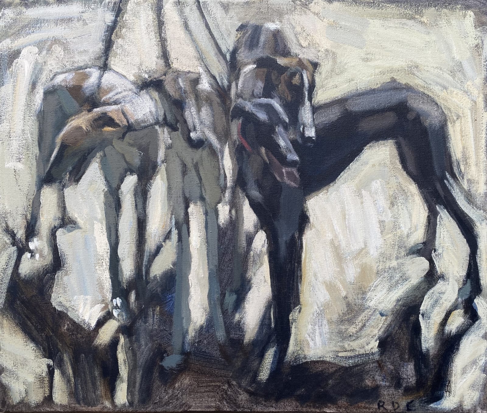 Romy Elliott, Pack
