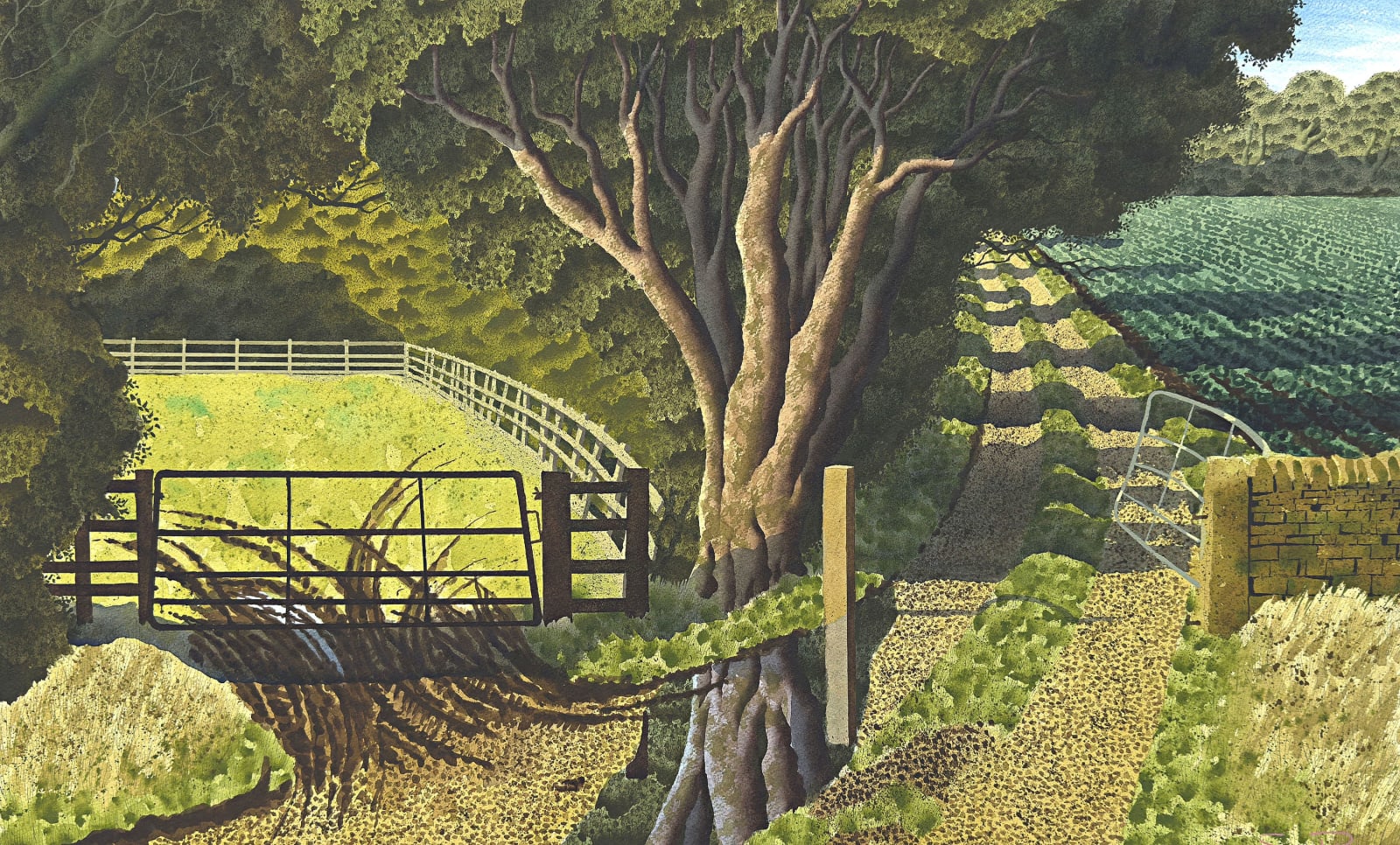 Simon Palmer, Low Burton Wood