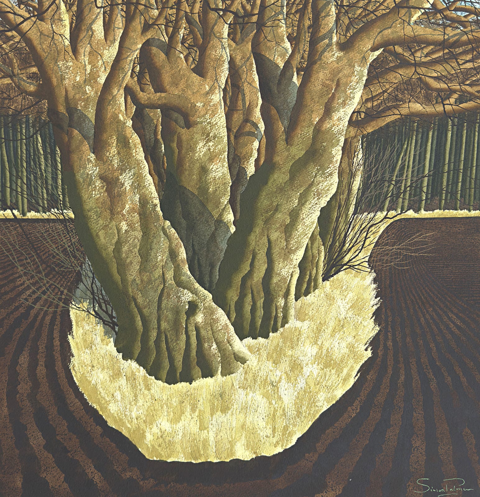 Simon Palmer, The Old Copse