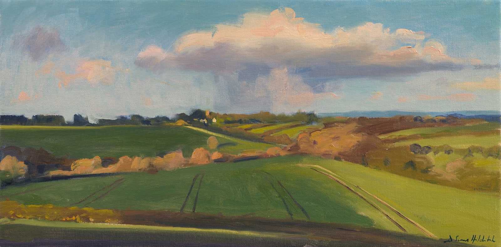 Daisy Sims Hilditch, Spring evening light over St Catherine's Valley