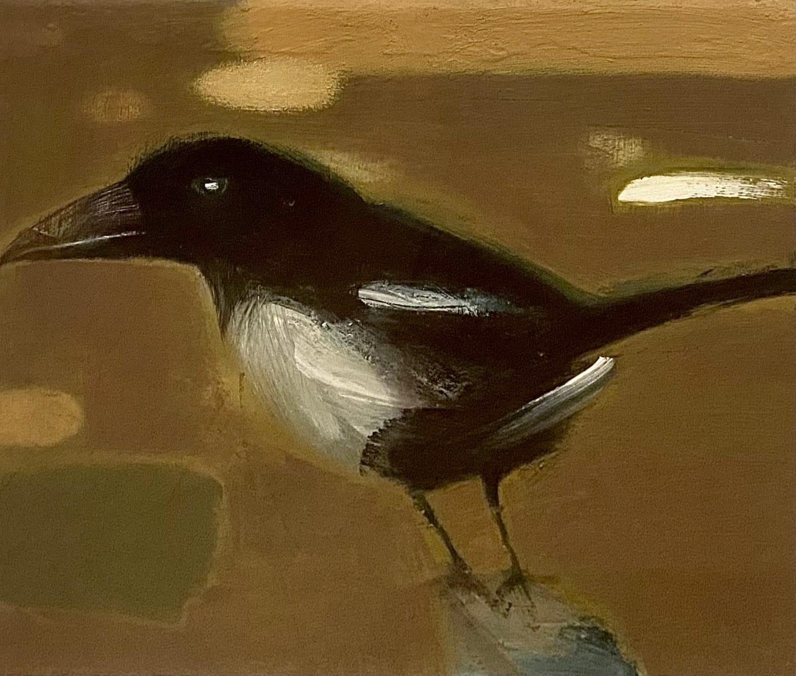 Tom Wood, Young Magpie, 2012