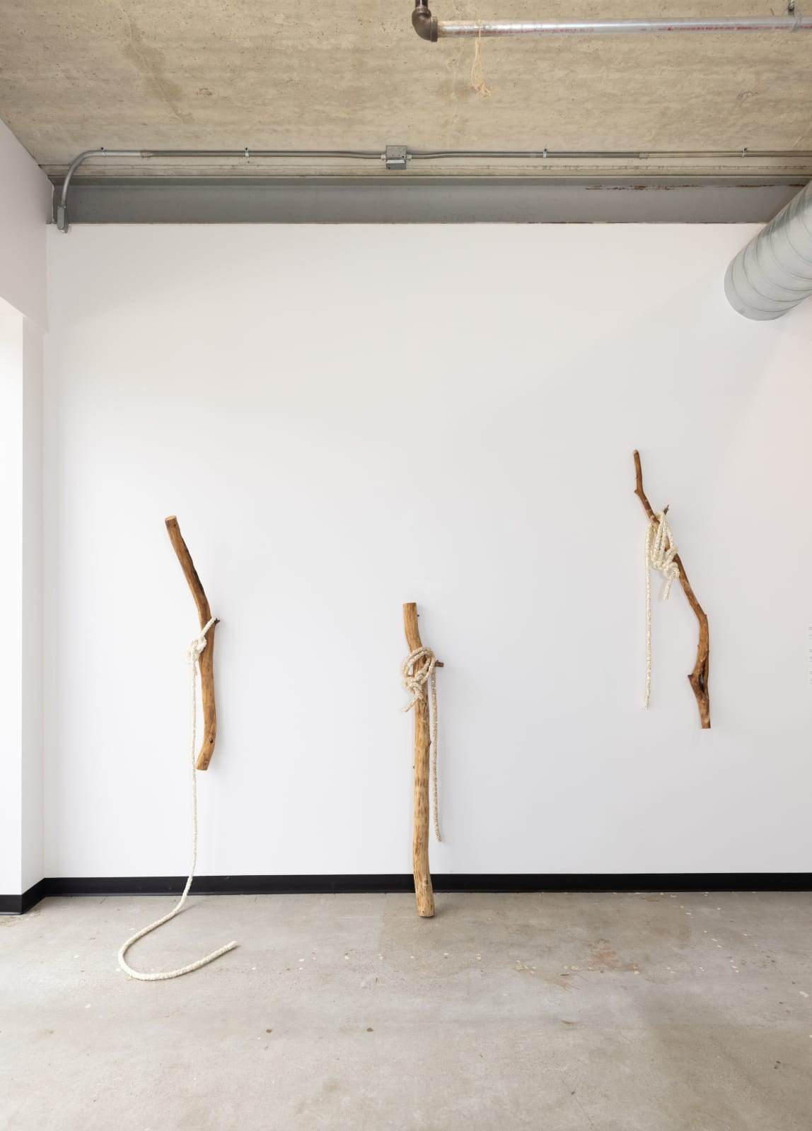 Jean Shin, Truth Lasso II, 2025