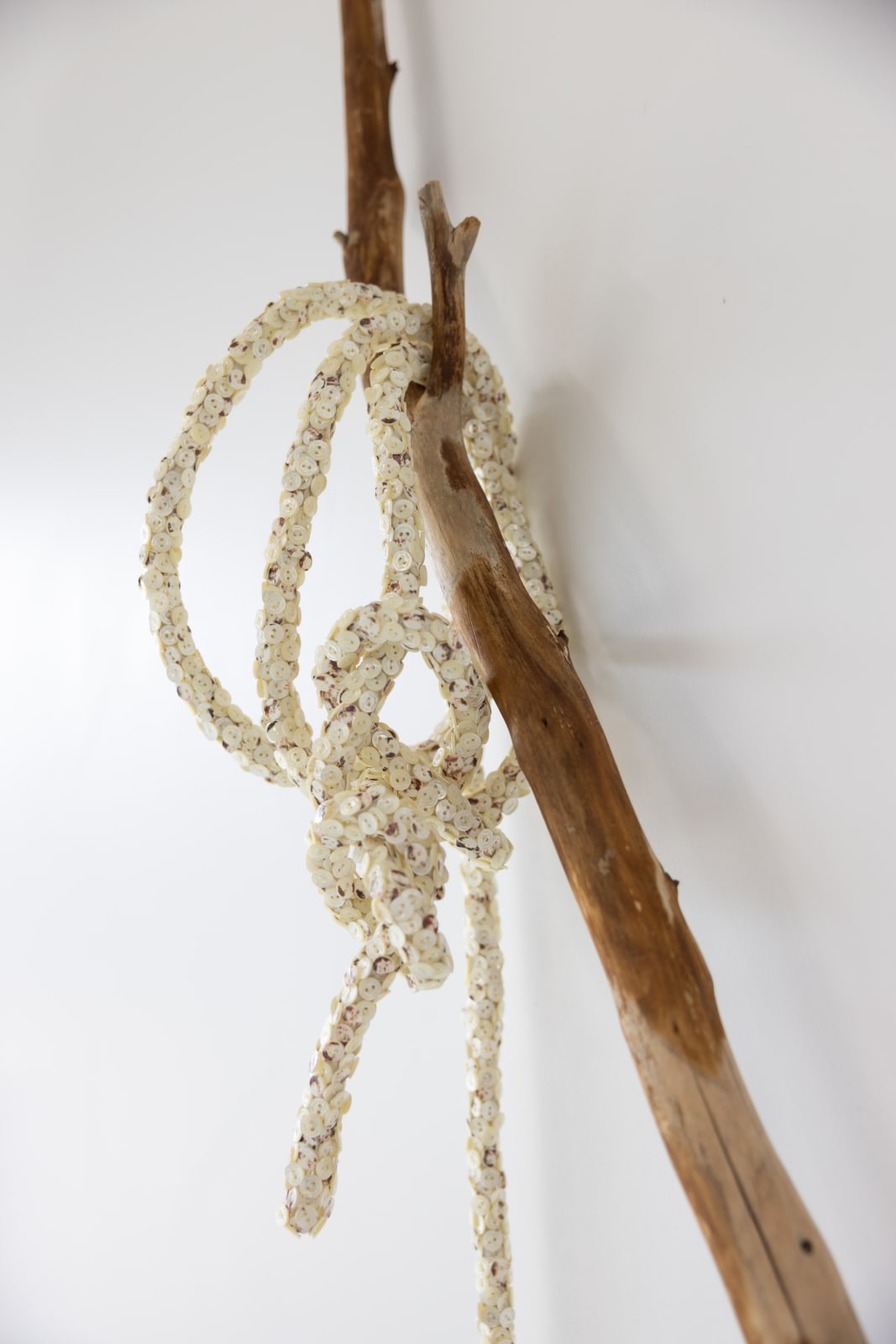 Jean Shin, Truth Lasso II, 2025