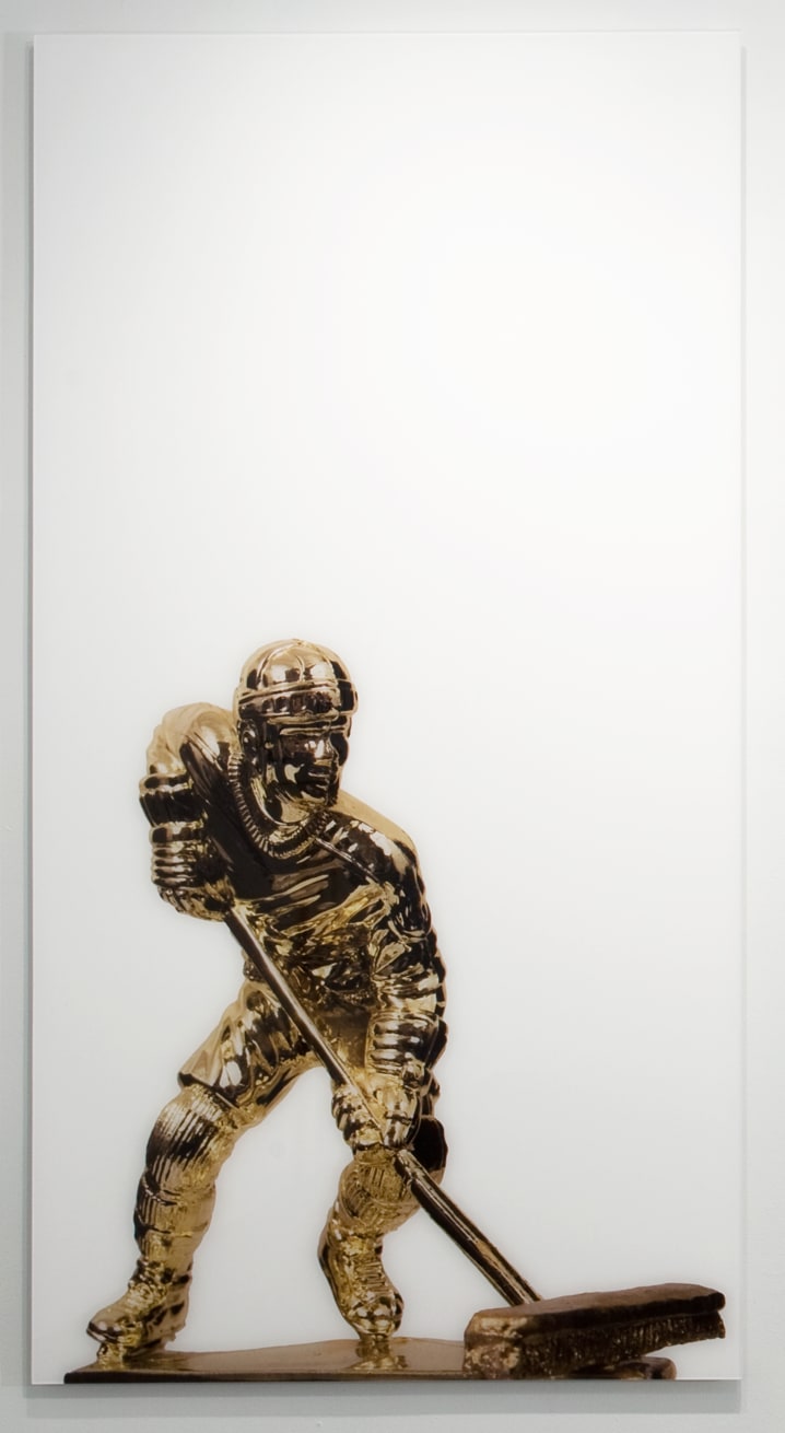 Jean Shin, Profiles (janitor, aka hockey player), 2010