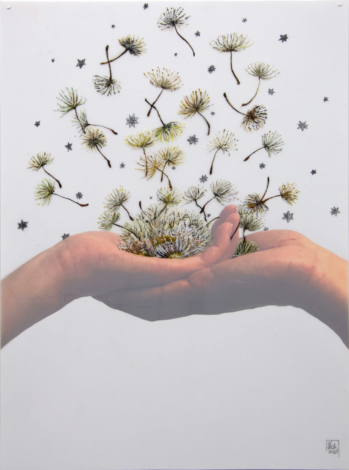 Yu-Wen Wu, Let Love Free, 2023