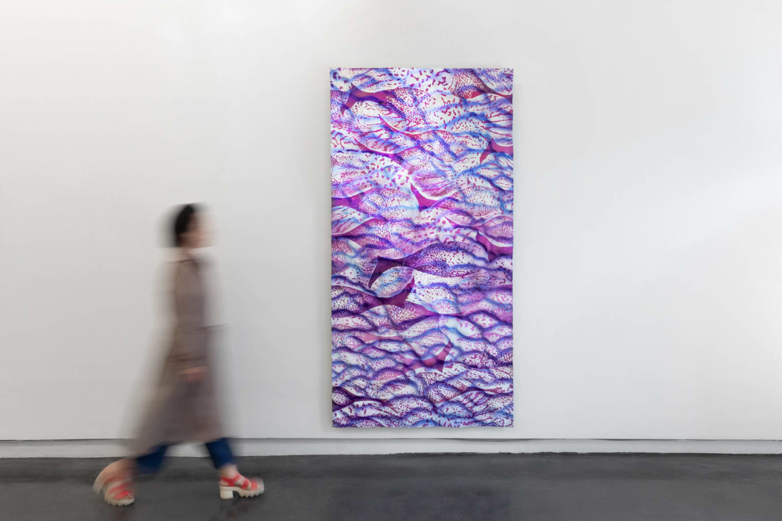 Lucy Kim, Ichthysopsis 1, 2025