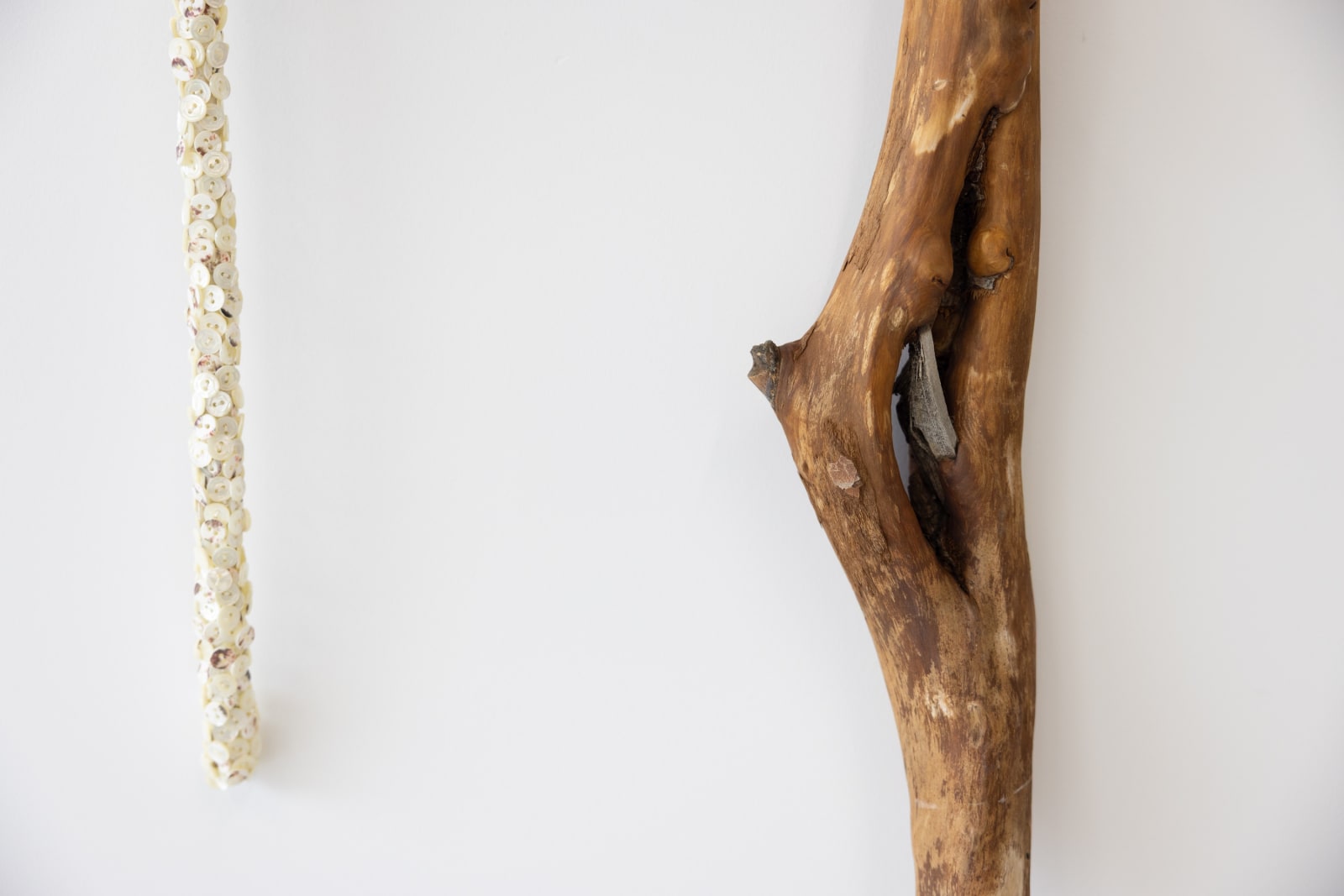 Jean Shin, Truth Lasso II, 2025