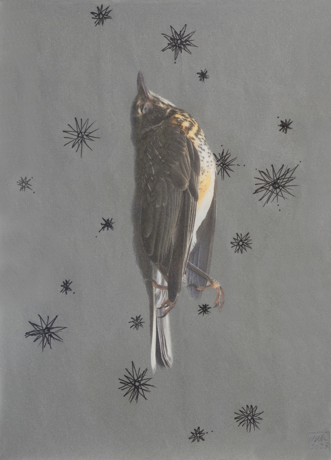 Yu-Wen Wu, Bird, 2023