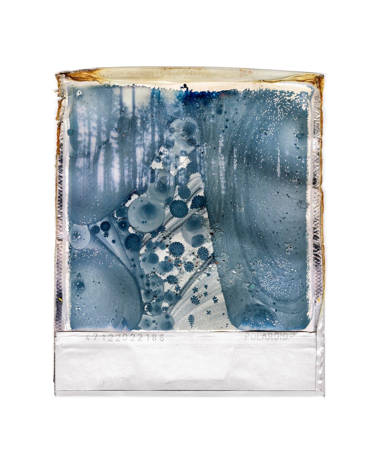 Gohar Dashti, Untitled #3, 2022