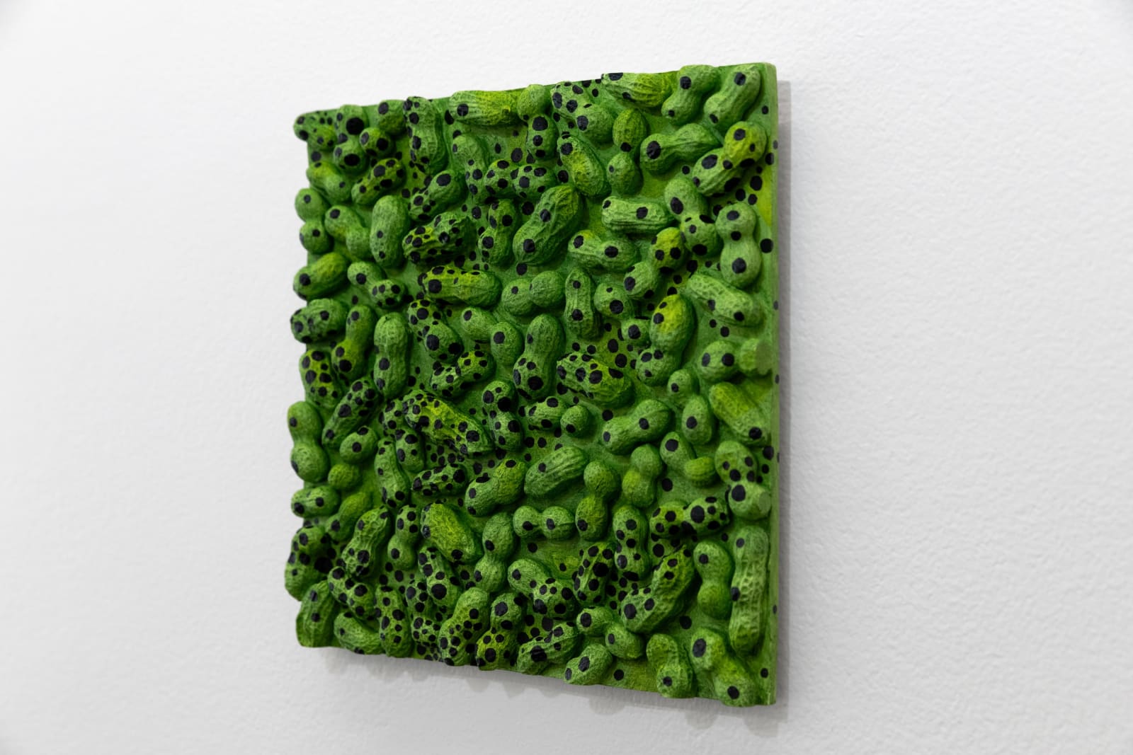 Lucy Kim, Peanuts (Green/Black), 2025