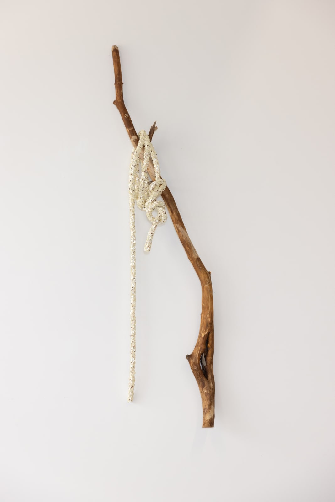 Jean Shin, Truth Lasso II, 2025