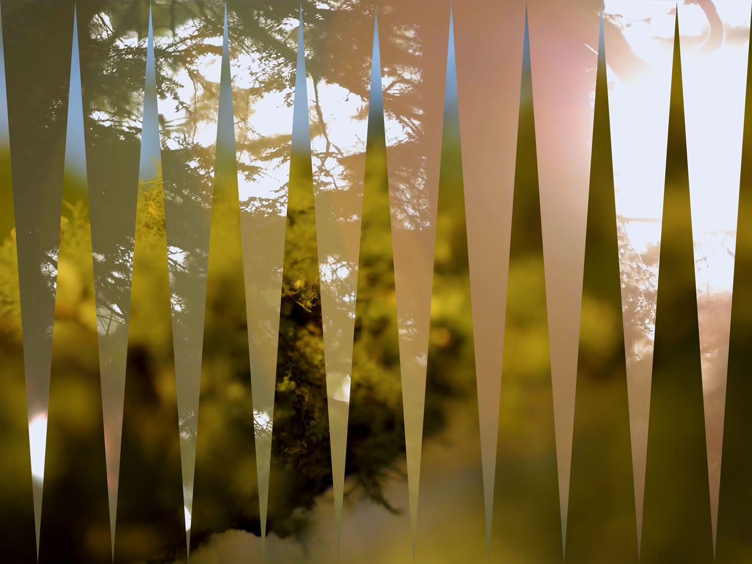 Jeffrey Gibson, Moss and Sunshine (THIS BURNING WORLD), 2023