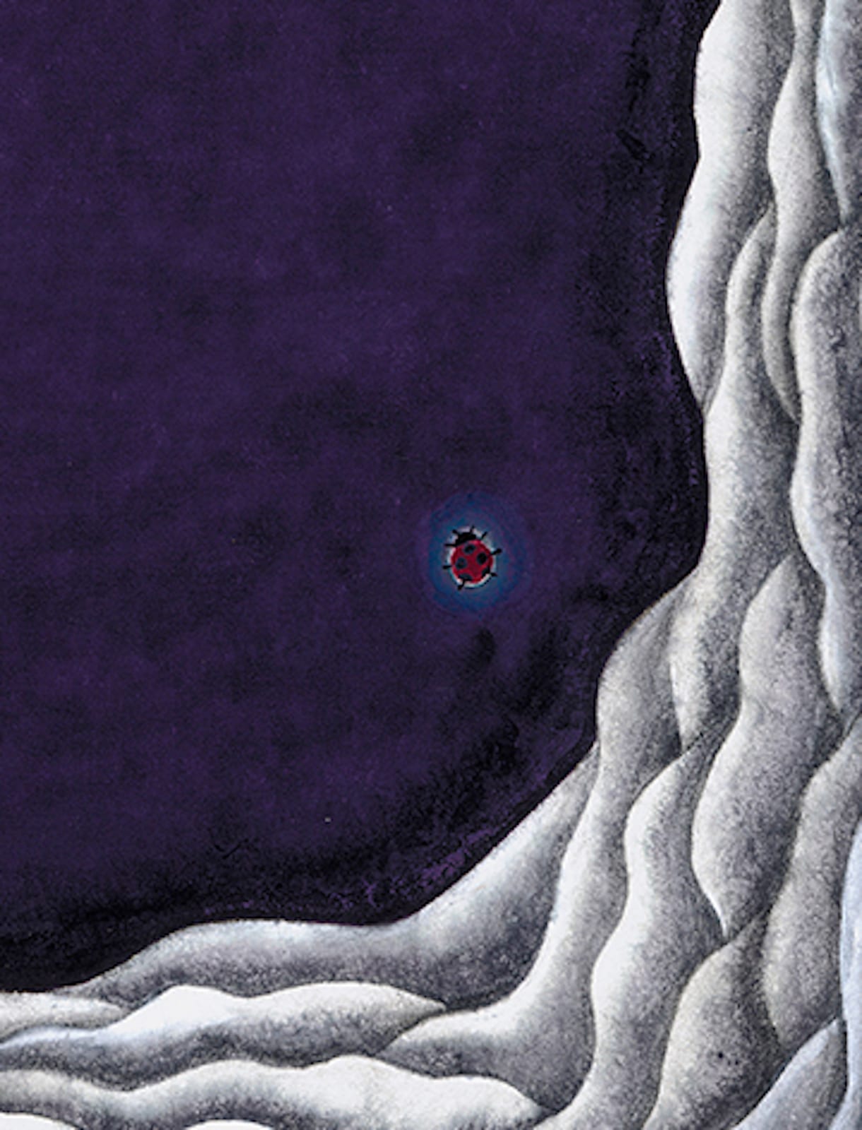 Yuri Shimojo, Mirror 3 (Ladybug in Fog Clouds), 2024