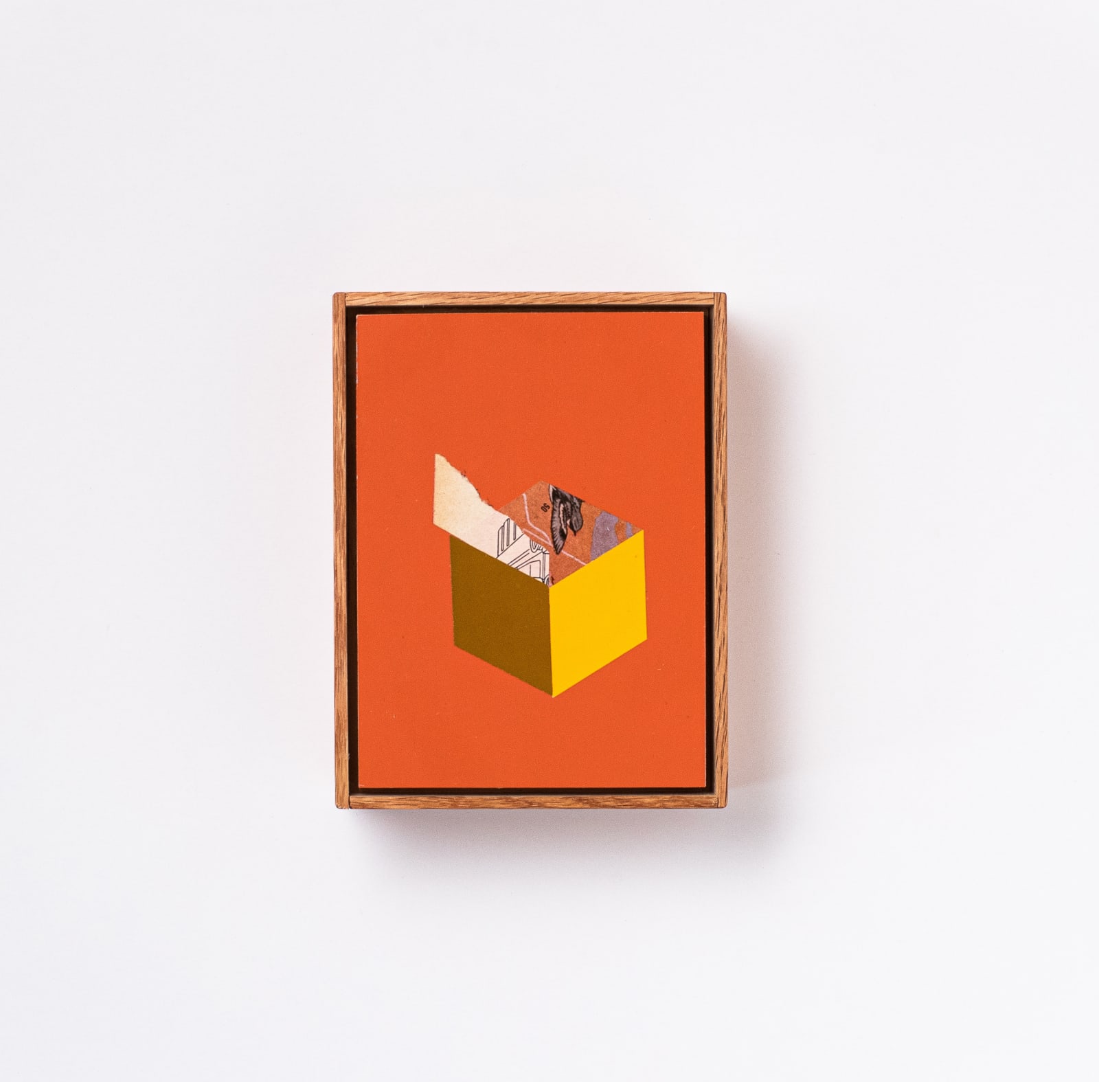 Mac Premo, Noah Nine (Bird Math), 2023