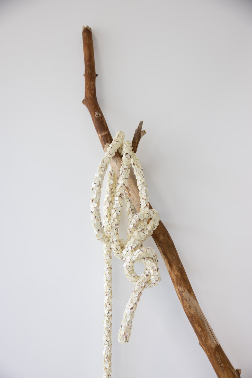 Jean Shin, Truth Lasso II, 2025
