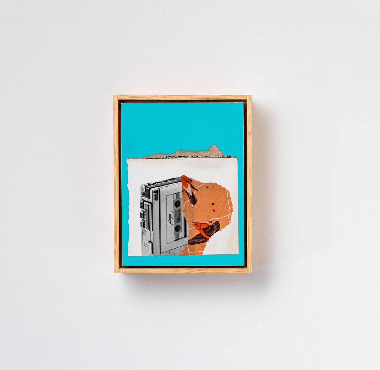 Mac Premo, Bird Song Volume 1, 2022