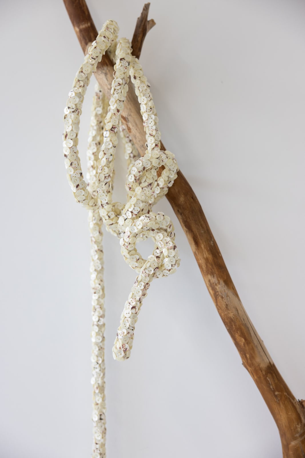 Jean Shin, Truth Lasso II, 2025
