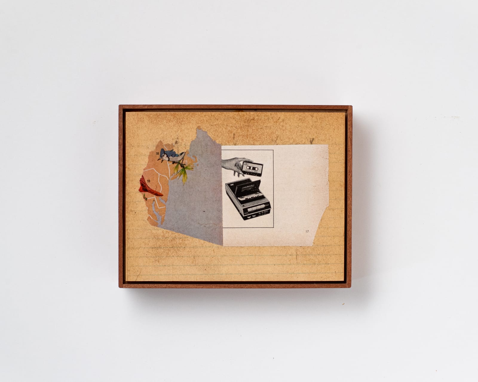 Mac Premo, Bird Song Volume 2, 2022