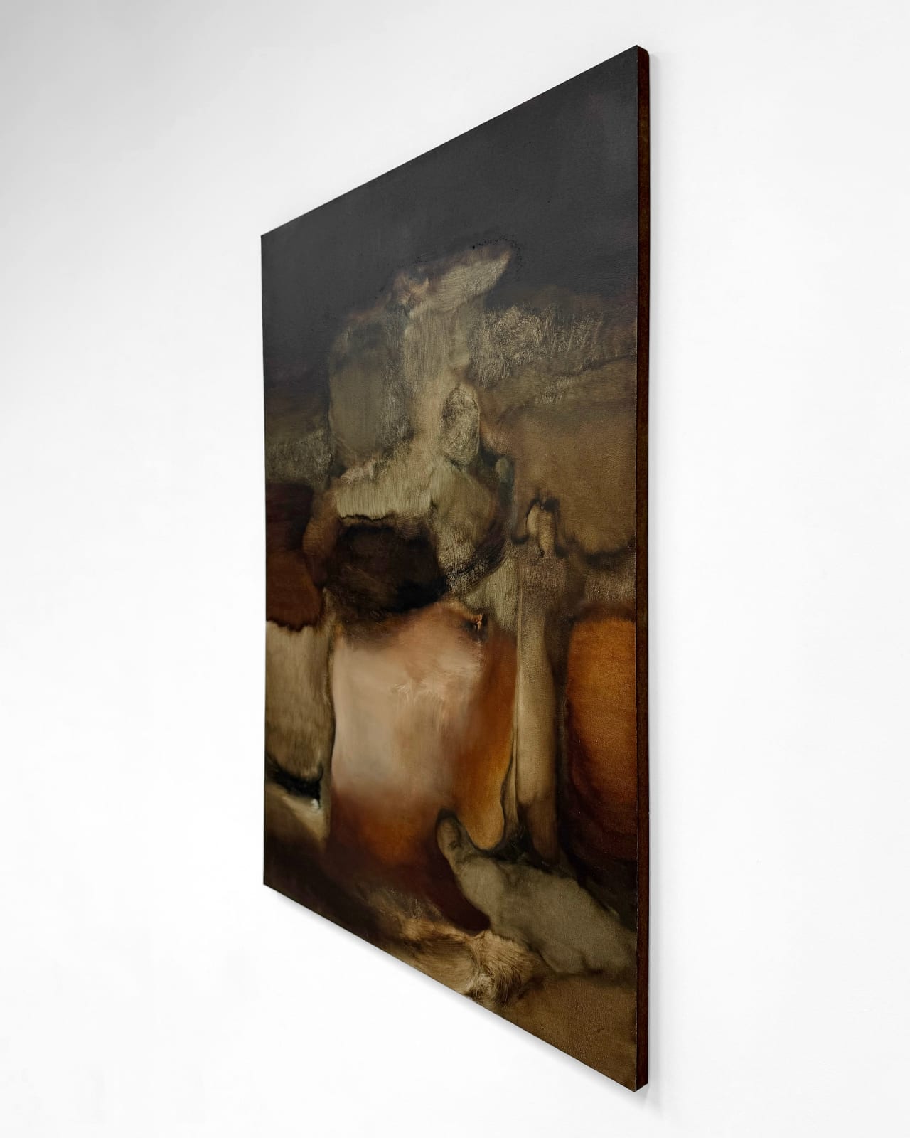 Anide, Les Présages de la Forêt, 2025