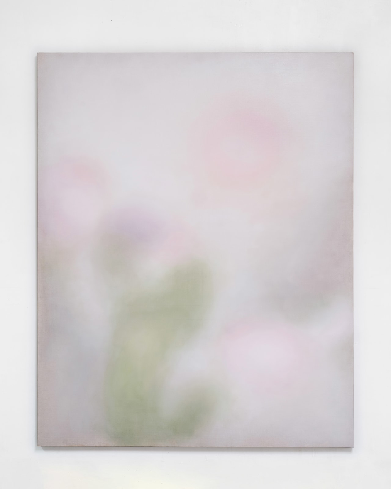 Tara Kasenda, Tulipe flou no.1, 2025